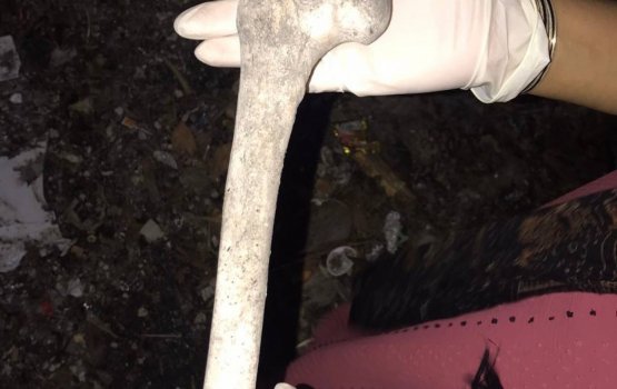 Dhaandhoo kuni gondun mini kashi fenijje