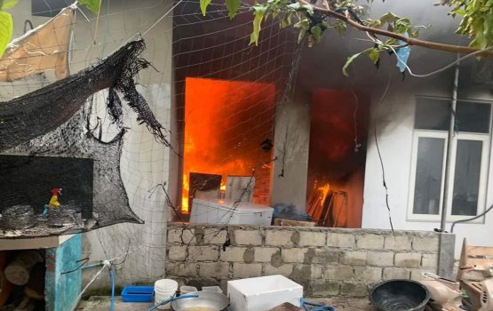 Ihavandhoo geyeh gai alifaanuge haadhiyaa eh hingai bodu gehllumeh libijje