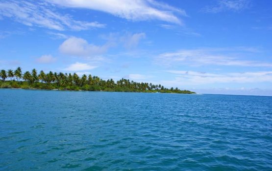 3 Rashehgai resort hadhan bayakaa havaalu koffi