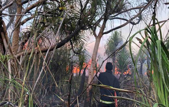 Addu kulhi sarahahdhugai rove alifaan fethurenee