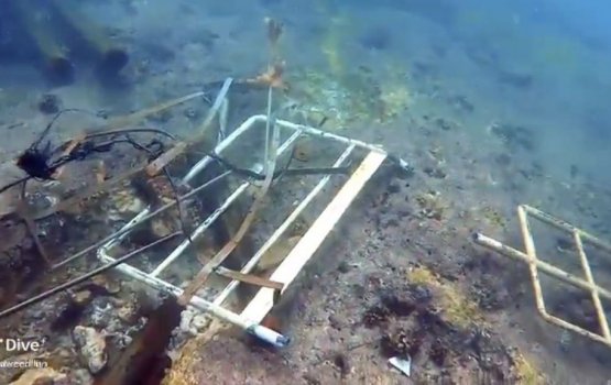 VilliMale farun adhives dhangaduthah nunagaakan haama vejje