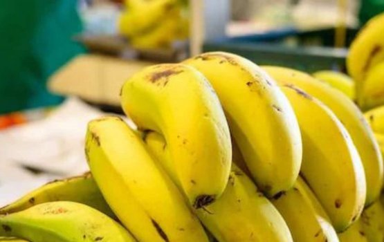 Cancer in dhuru vumah dhuvaalaku 3 dhonkeyo!