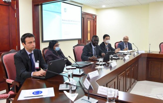 Raajjein alhaa fiyavalhu thah rangalhu, Igthisaadhee haalathu ves rangalhu: IMF