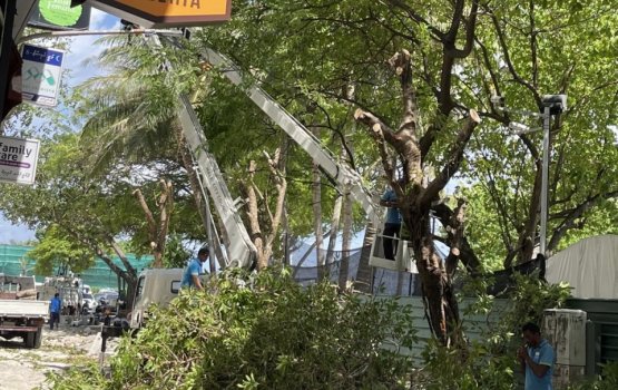 Ameeny magun gas kandany magah gellun vedhaanethy: Aslam