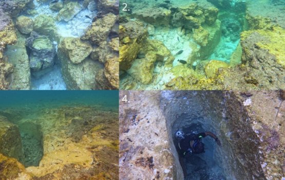 Platform farah eri mahsalaagai joorimanaa maaf eh nukuraane