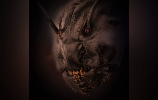 Biruveri filmehge manzareh noon, mi ee hinyehge moonu!