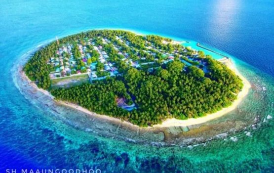 Maaungoodhoo meehehge bandah valhi heri massalaagai meehaku hayaru koffi