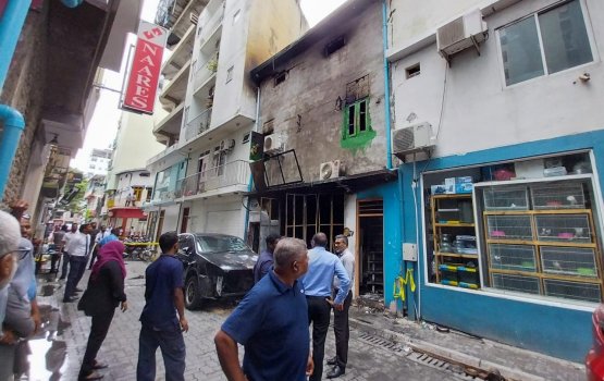 Emme gina meehu maruvi alifaanuge haadhishaa! zimaavaanee Kaaku?