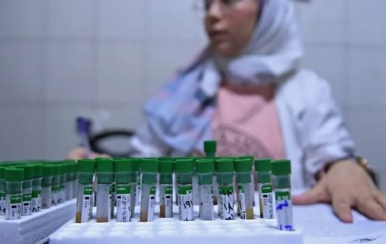 Syria gai haluvi kamaa eku cholera fethurenee