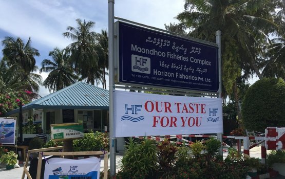 Masverinnaa ebbasvaa muhdhathuge thereygai faisaa dhookoffaivaane: Horaizan