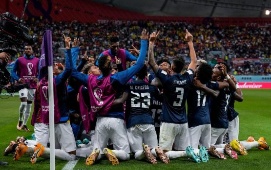 Ecuador aai Netherlands evvaru, Qatar kataifi