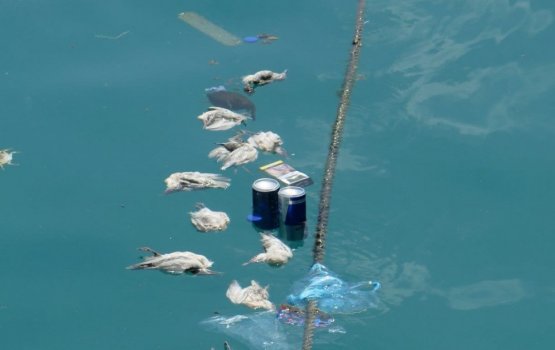 Maraalaafaivaa kamah belevey vallathakeh Male' falhu therein fenijje