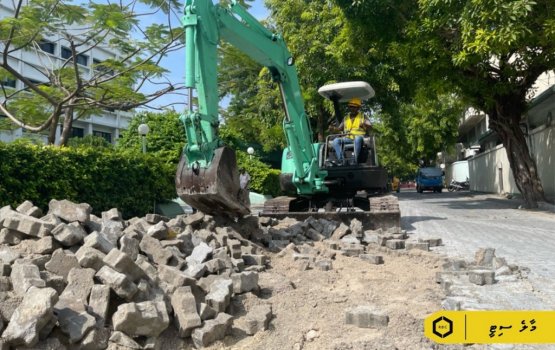 Ameenee magu ge 2 vana segment ge masikah  fashaifi