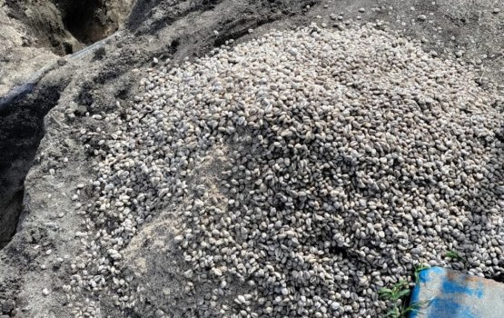 Rinbudhoon dhuvasvee bodu boli valheh fenijje