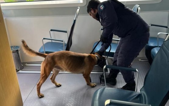 Terrorism ge operation thakugai kuhthaa beynun kuran fashaifi