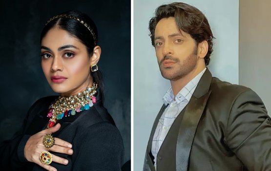 Bigg Boss 16: Wild Card gothugai Sreejita aai Vikkas Manaktala