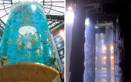 Berlin 1,500 mas huri bodu aquarium eh govaifi