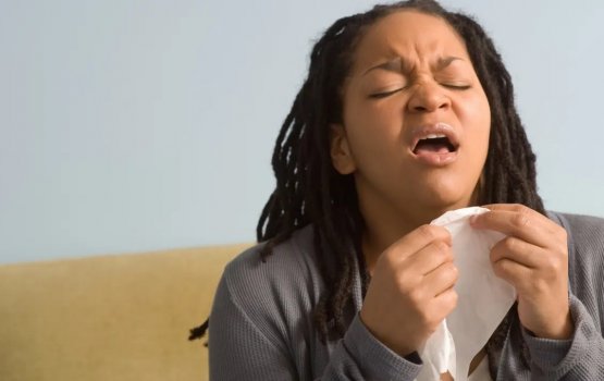 Kinbihi hifehettumakee nurakkatheri kamehba?