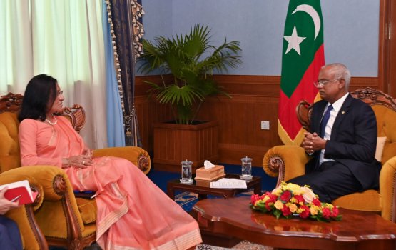 Sihhee dhaairaaah fannee muvazzafun thamreenu kuran eheetherikan beynunvey: Raees