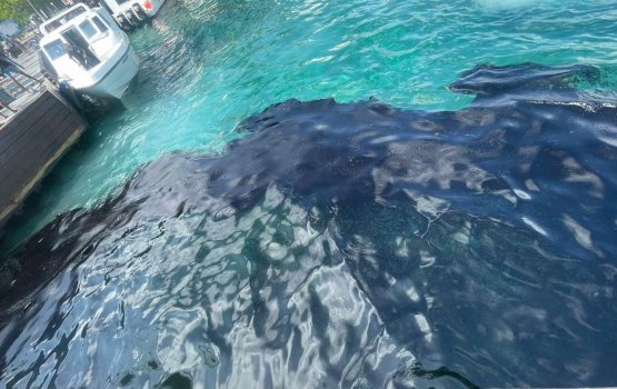 Male' falhu there ah elhifaivaa kalhu theyo saafu kuran fashaifi