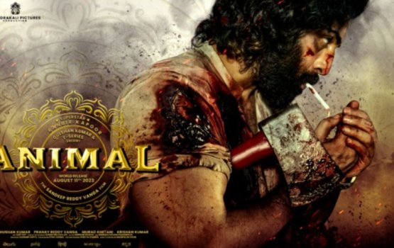 Ranbir aai Rashmika ge 