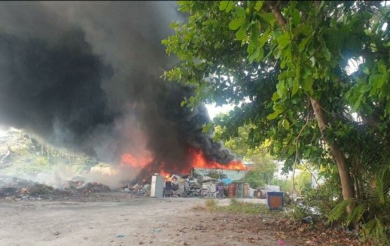 Alifushi kuni gondu sarahaddhugai huri fiber thakehgai roave andhanee