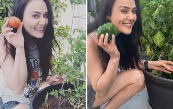 Preity geygai haddha gasthah dhakkalaifi