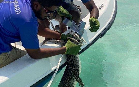 Hoarafushi falhuthereyn fenunu kinboo beyru kandah dhookollaifi