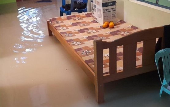 Boako varey vehi Foakaidhoo baeh gethakugai fenboduvejje 