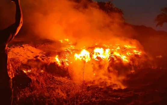 Turf thakugai roakollumakee findi amaleh: Minister Mahloof