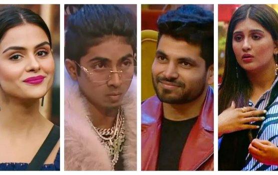 Bigg Boss 16: gadha fas baiverin nakee