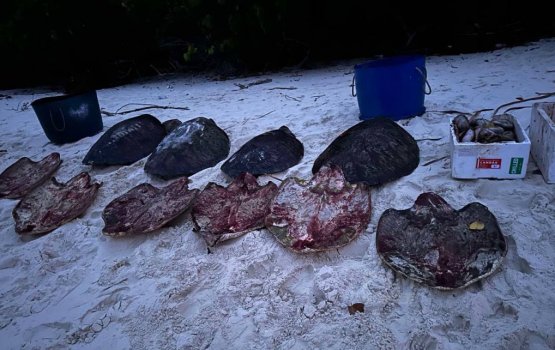 Velathakeh falhalaigen thibbaa fenunee Kendhoo baeh: EPA