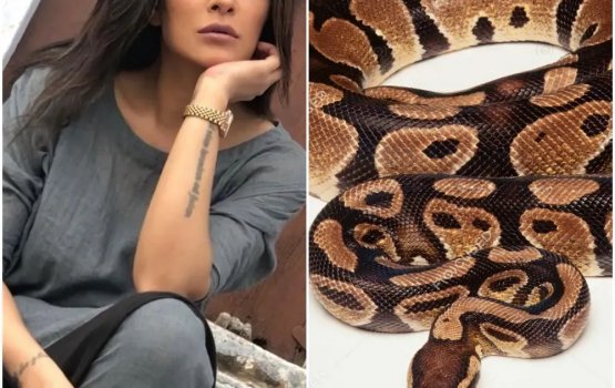 Harufa deke loabivaathee Sushmitha geygaves gengulhenee bodu python eh!