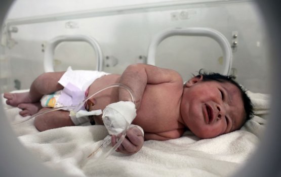 Binhelumugai vettunu imaaraathehge dhashugai vihey kujjaa beynun vegen ethah bayaku hushahalhaifi