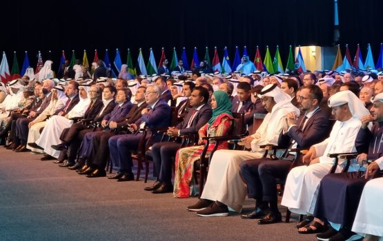 Naib raees World Government Summit gai baiverive vadaigenfi