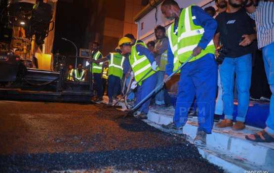 Ameenee magu gai thaaru alhan fashaifi