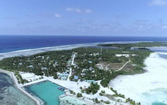 Nadella in fen husvefai, Sarukaruge rasmee javabeh nei!