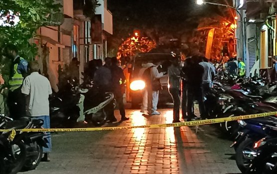 valhin hamalaa dhin mahsalaagai meehaku hayyaru kohfi