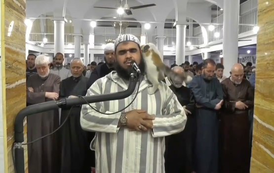 Tharaaveeh namadhugai Imam ge kondah bulhaleh, Imam ah ethah bayegge thaureef