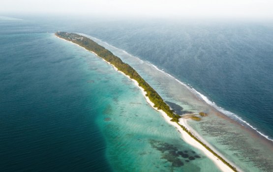 Dhigurashu kunigondun fenunu kujjaa ge mammage mahchah dhauvaa ufulaifi 