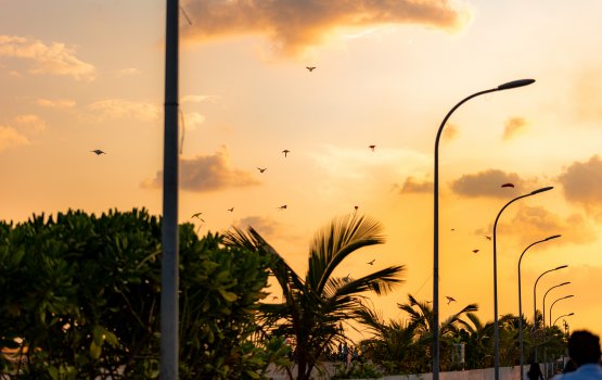 Usfasgandu kairin maruvefa oiy dhivehi firihenaku fenijje