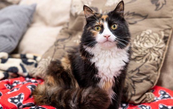 Verimeehage furaana salaamaii kohdhin bulhalah award eh!