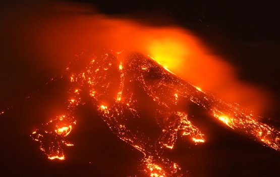 Europe gai Emme Ginain govaa Alifaan farubadha Govan fashaifi