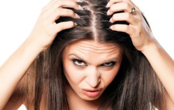 Bolun hanfolhumah medhuverivaa sababu thah!