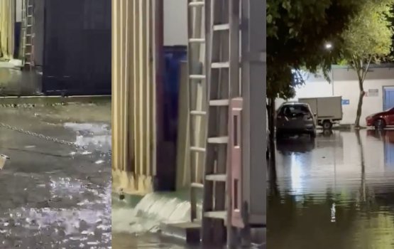 Fen plant eh falhaigen nudhey, Massala vanee hallu koffai: MWSC