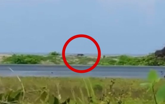 Maafarun fenunu kamah beleveny bulhaleh: MNDF