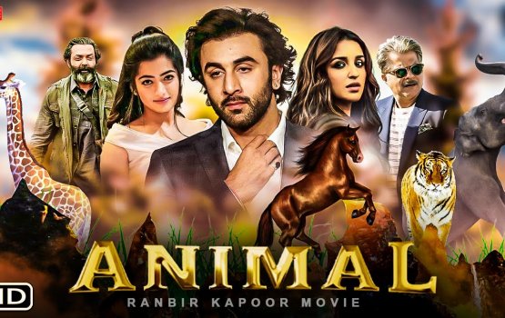 Ranbir aai Rashmika ge 