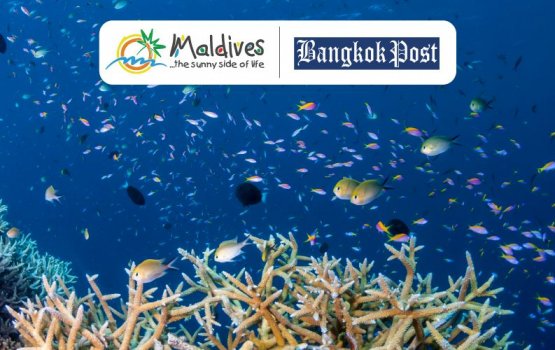 Raajje ishthihaaru kuran Bangkok post aaeku campign fashaifi