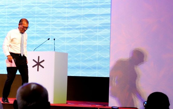 House of democrats mirey hulhuvanee