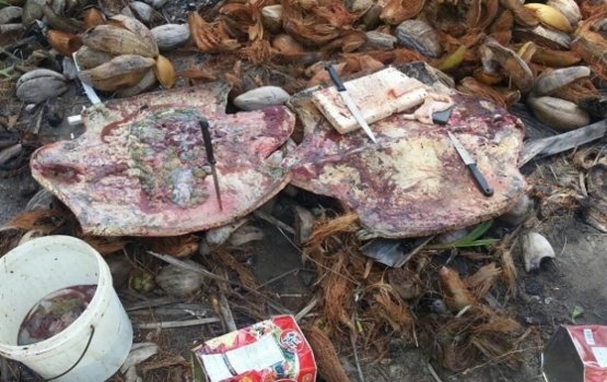 Velaa felhi meehun adhives joorimana faisaa nudhahkaa: EPA